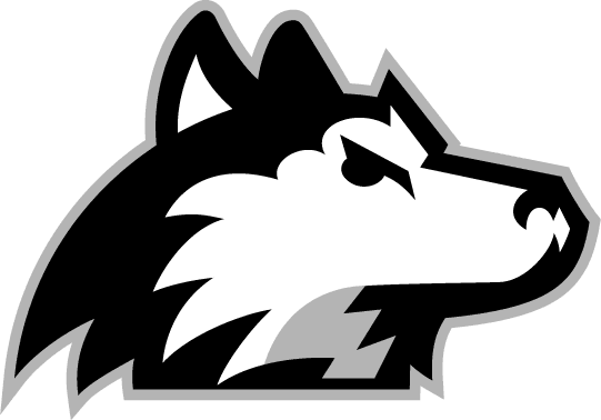 Northern Illinois Huskies 2001-Pres Alternate Logo v7 iron on transfers for T-shirts